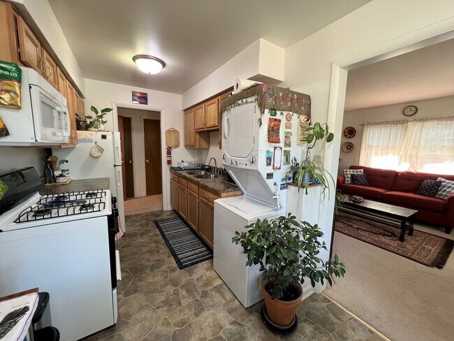 103 W Oregon St, Urbana, IL 61801 - photo 5