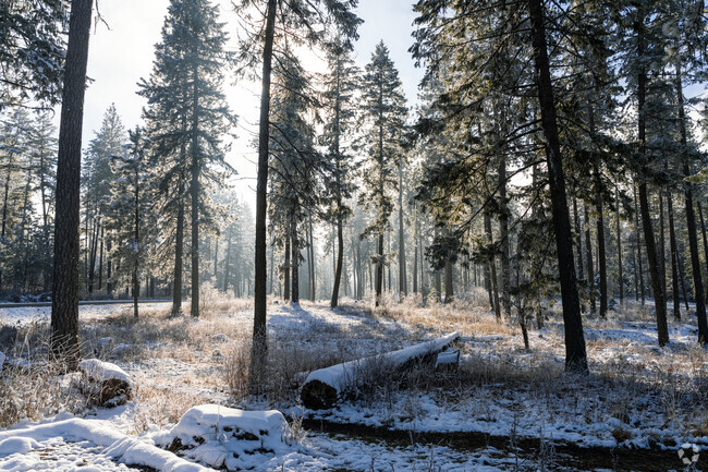 Hayden has lots of nearby hiking trails that locals enjoy.
