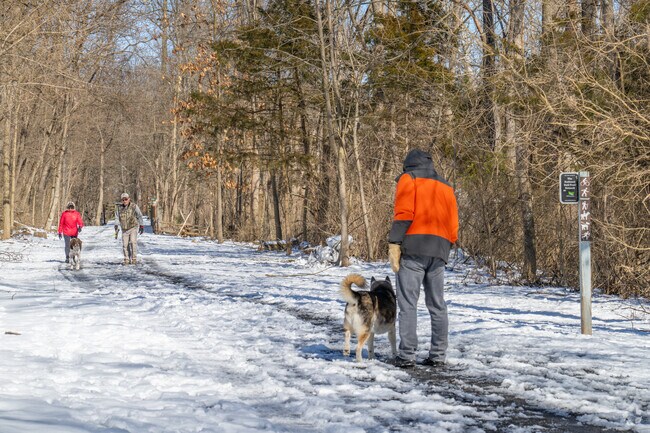 Locals walk their pups on the Perkiomen Trail in Lower Frederick Township.