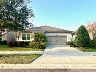 12380 Streambed Dr, Riverview, FL 33579