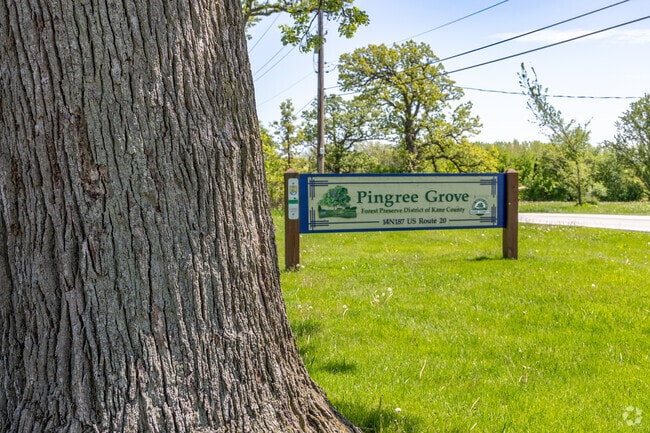 Pingree Grove Forest Preserve is a great place to catch up on some hiking.