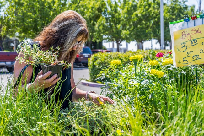 Florin Certified Farmers Market in Parkway is open year-round on Thursdays from 8am to noon.