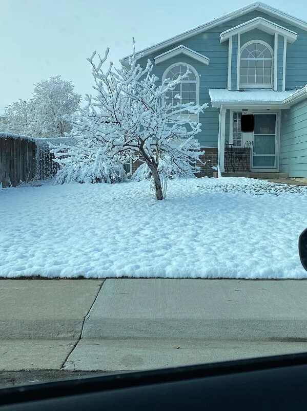 5358 E Spruce Ave, Castle Rock, CO 80104 - photo 3