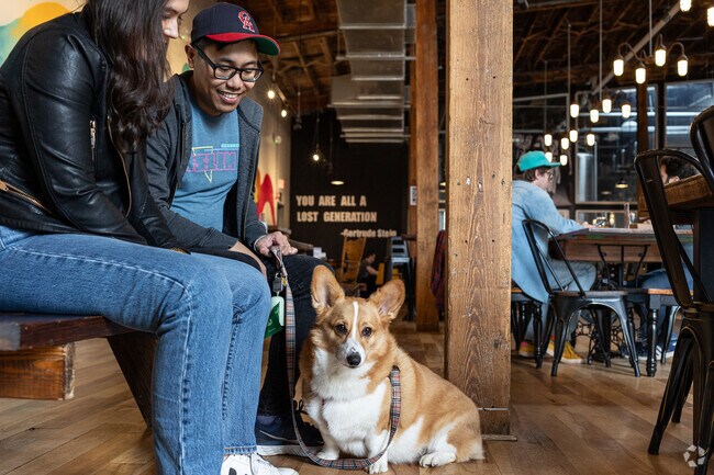 Bring you best friend to hang out at Lost Generation Brewing Co. in Eckington.