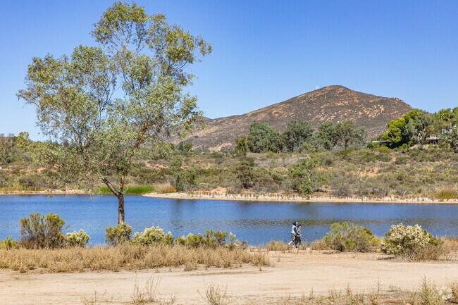 Enjoy peaceful walks by Lake Murray, surrounded by lush greenery and wildlife.