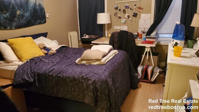 154 Harvard St, Brookline, MA 02446 - photo 3