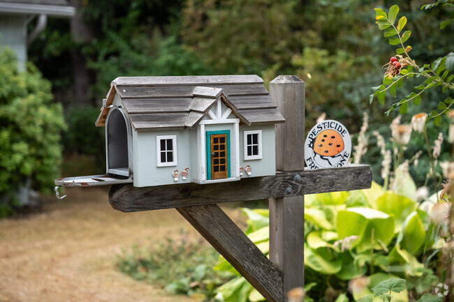 Locals put their eclectic spin on things with decorative mailboxes in Roxhill.