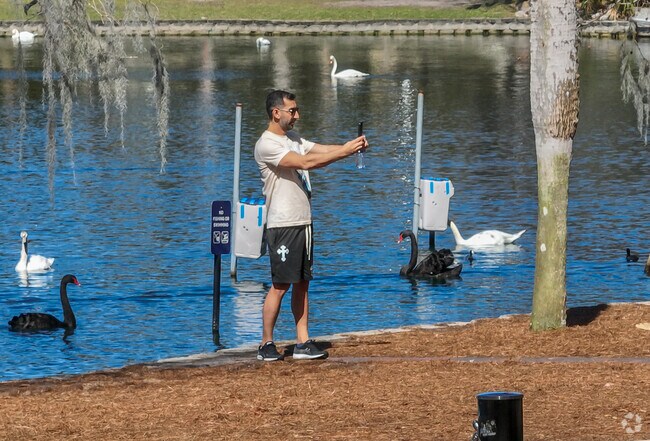 Graba a selfie with the swans at Lake Eola park, just a few minutes from Azalea Park.