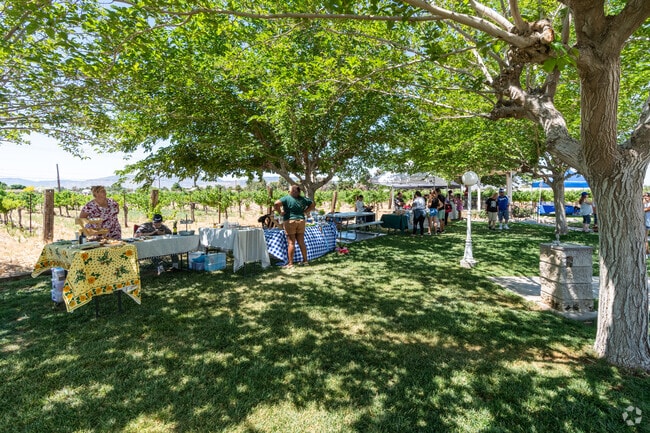 Small farmers markets dot the landscape of West Lancaster on the weekends.