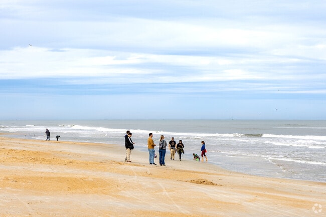 Enjoy the rolling waves and looking for shells alone Anastasia State Parks 1,600 acres.