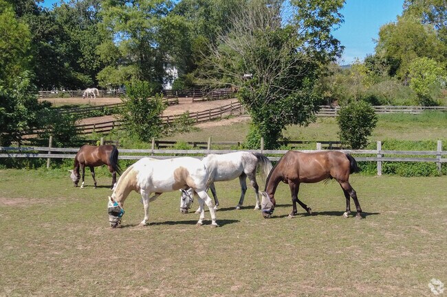 Experience rural charm and equestrian living in Woolsey near South Riding.