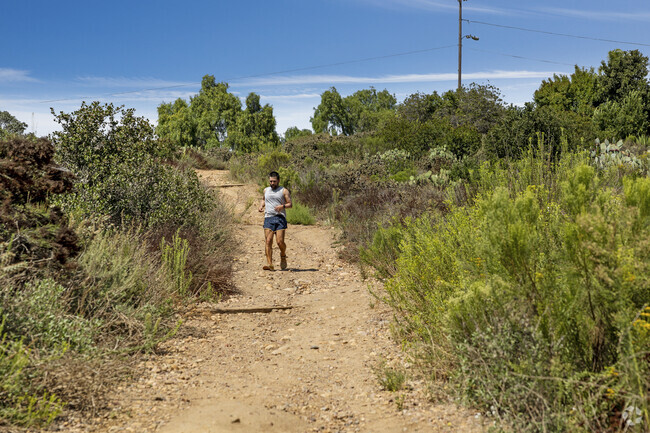 Switzer Canyon Open Space Park in Burlingame offers an abundance of trails.