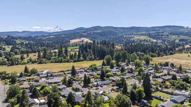 There are a lot of nice views of Mount Hood around town.