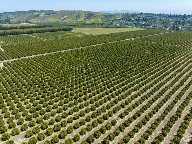 You will see beautiful farms everywhere in Somis.