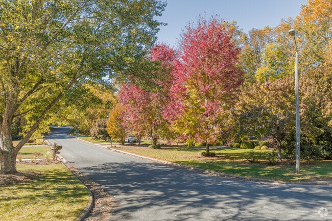 Autumn foliage often enhances Harmony Grown-Town Center with vibrant colors.