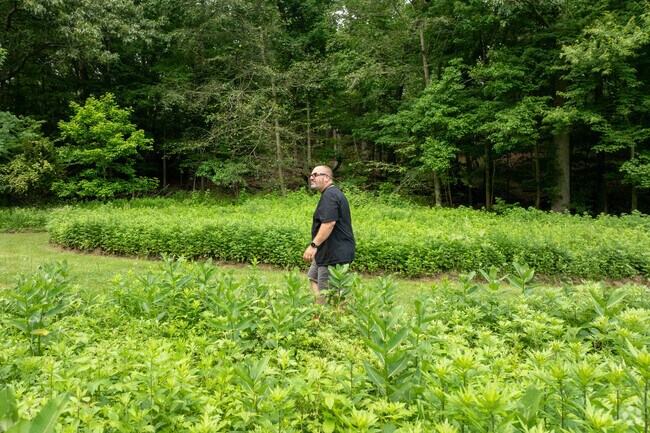 Take a hike in Mountain Laurel Open Space in Greenfield Hill.