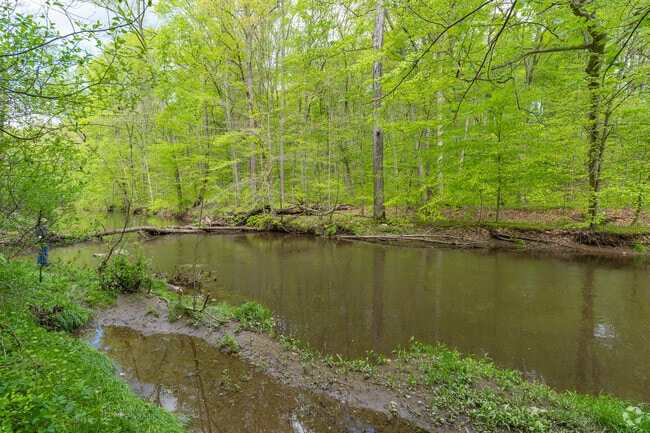 Cast a line in the creek at Ridley Creek State Park, popular for fishing in Edgmont.