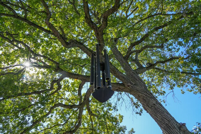 Giant wind chimes make beautiful sounds at the Wellfield Botanic Gardens.