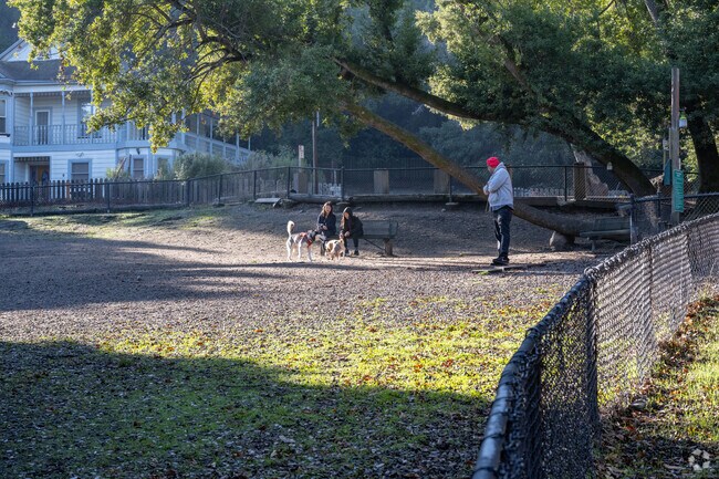 Your dogs will love the dog park at Pinole Valley Park.
