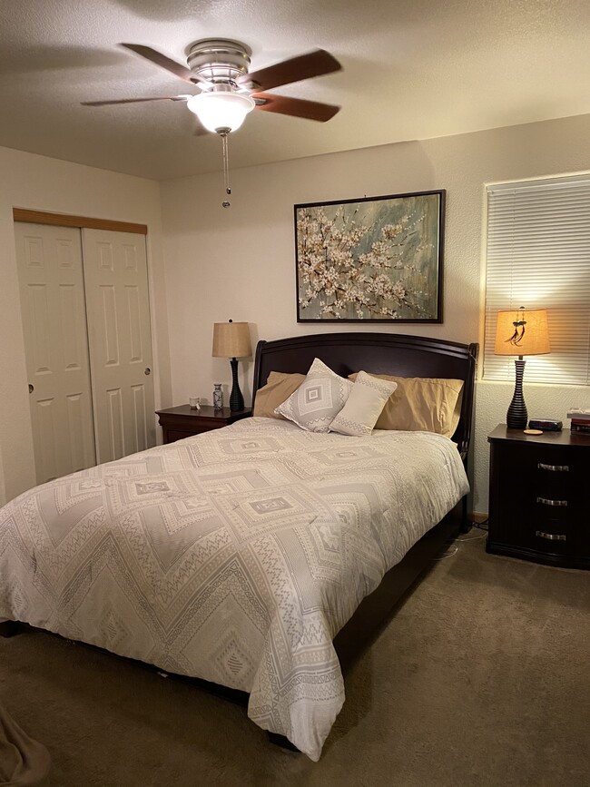 3761 Mt Flora St, Wellington, CO 80549 - photo 6