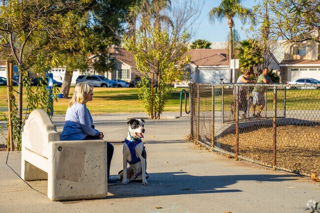 Mary Henley Park features dog-friendly areas for play and relaxation in Equestrian Downs.