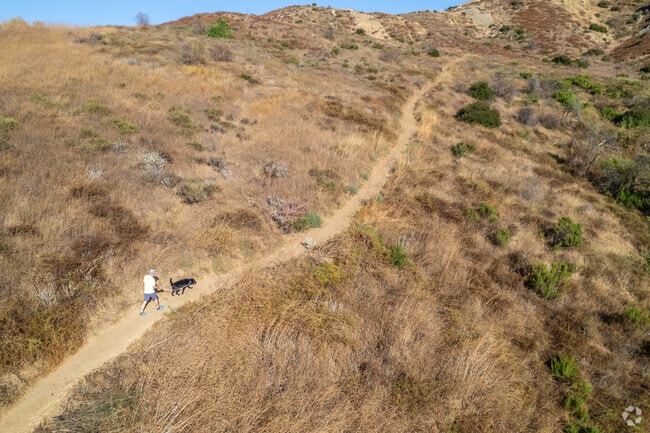 Trails around the Simi Valley area are perfect for a hike with your furry friend.