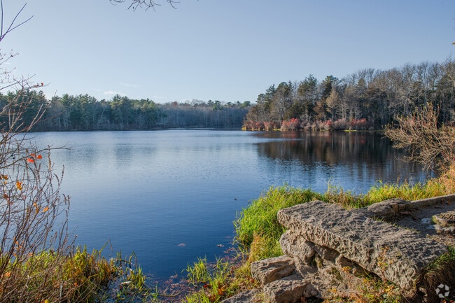 Easy to access from the Acushnet / Pine Hill neighborhood, Cedar Swamp has nice ponds.