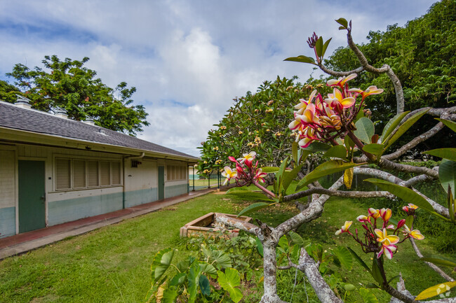 Unlock the potential within each student at Waimanalo Elementary and Intermediate School.