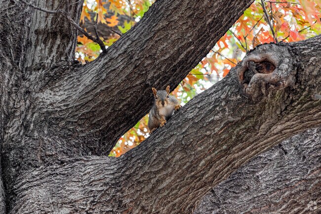Sunnybrook is full of life and nature.