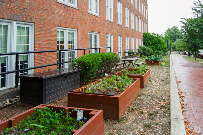 Students at Stuart-Hobson Middle School can learn about sustainability with the class gardens.