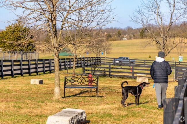 The dog park in Centennial Park has plenty of features to keep dogs entertained.