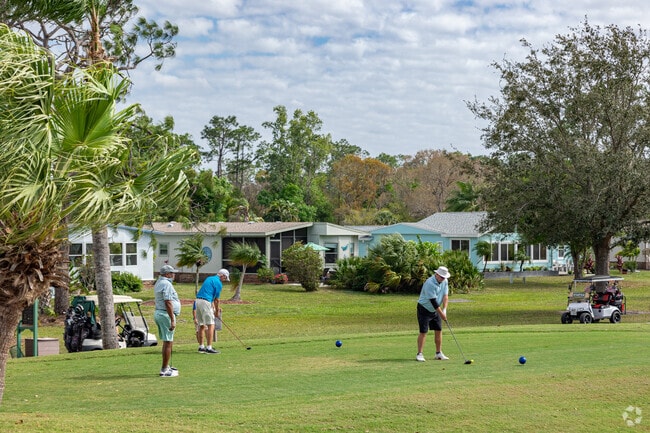 Play a round with friends at Del Tura Golf & Country Club in Jacaranda.