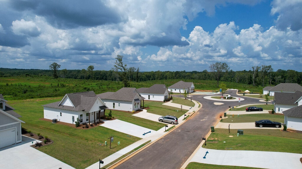 Camellia Drone-7.jpg