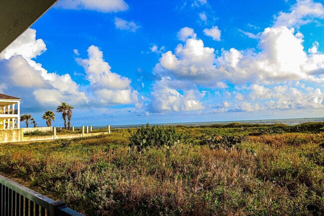 4908 Gulf Blvd unit ID1255598P, South Padre Island, TX 78597 - photo 5