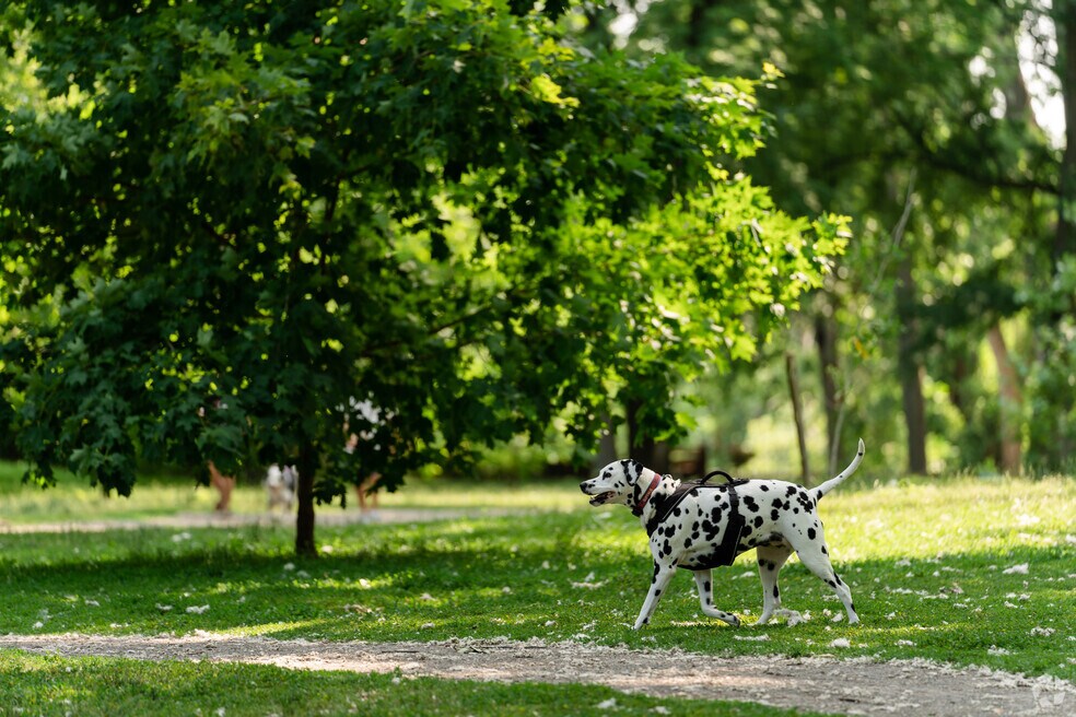 Neighborhood_Irvington Creekside_V2_022324