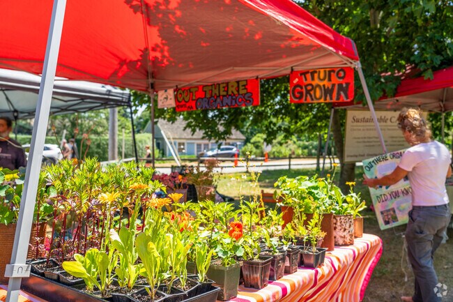 The Truro Farmers' Market runs every Monday from 9am-12pm.