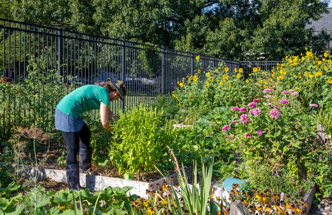 Roosevelt Park gives Hampden residents plenty of ways to immerse themselves in nature.