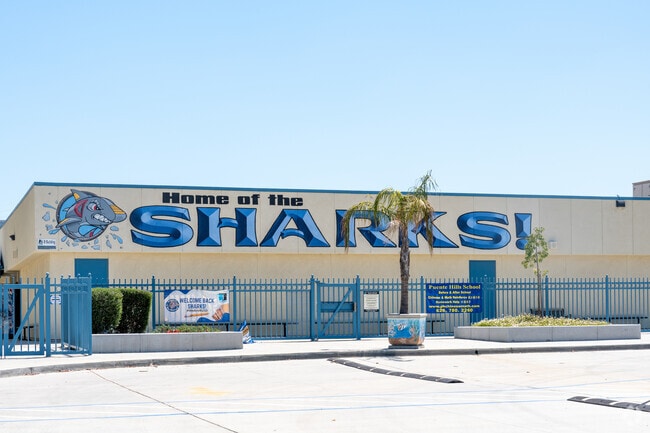 Shelyn Elementary School in Rowland Heights, CA, is home of the Sharks.