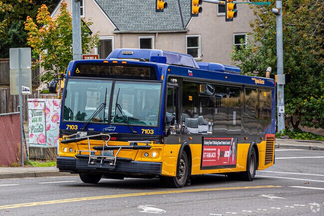 Intercity Transit runs buses along Marvin Road on the north side of the neighborhood.
