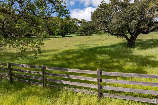You will love driving through the beautiful wooded hills in the Montecito Heights neighborhood.