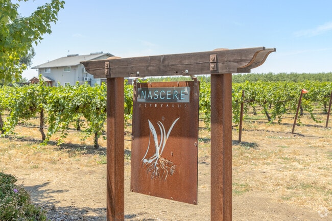 If you're in the mood for wine tasting, there are a few vineyards in the Durham area.