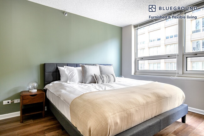 750 N Rush St unit FL16-ID270, Chicago, IL 60611 - photo 7