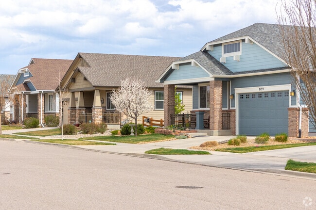 Ranch style homes line the street in the Provincetowne neighborhood.