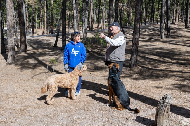 There is a dedicated area for dogs at Fox Run Regional Park