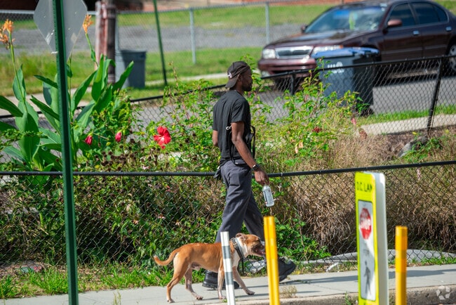 Benning Heights is largely walkable, and has wide sidewalks for dog walking.