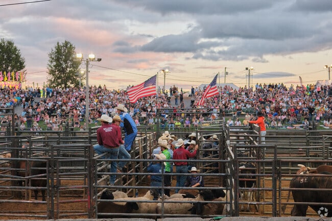 Cowboys prepare for the rodeo in front of a huge crowd in Ranson.