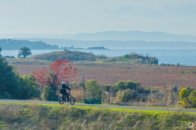 The Bay Trail follows along The Waterfront's coastline.