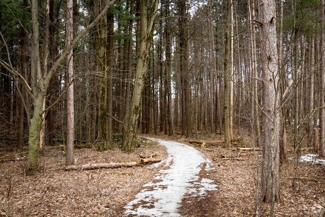 The Arboretum in South Madison has trails conveniently close to Burr Oaks.