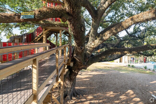 The tree house in Moncus Park is a magical place for Mimosa Place residents to take their kids.