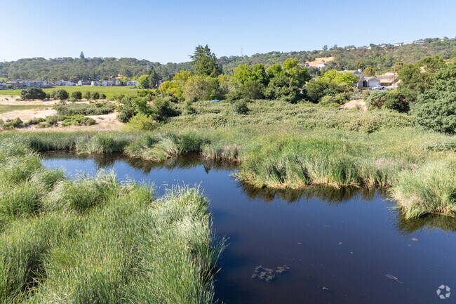 Enjoy wildlife along the Petaluma River and slough around Green Point.